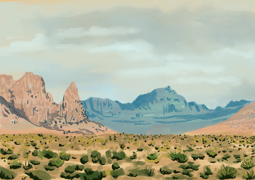 Nevada Desert Art Print