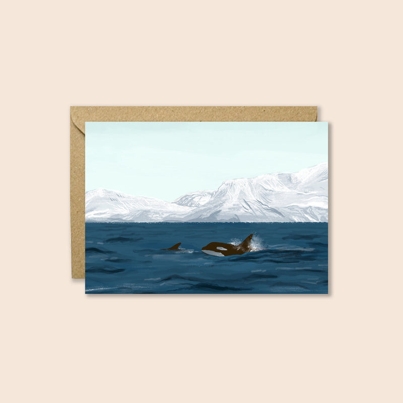 Whale Watching Card