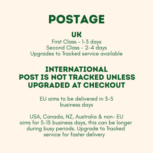 Polar Bears and the Northern Lights  Art Print