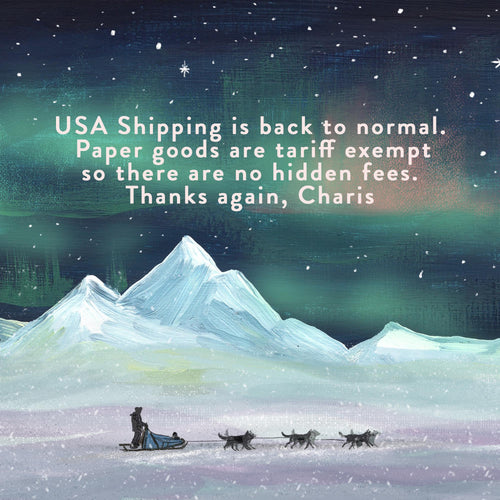 Starry Skies Illustrated Christmas Card Set | Pack of 4