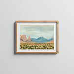 Nevada Desert Print