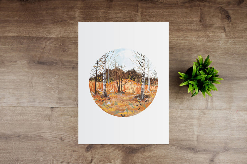 Swedish Birch Trees Giclee Art Print